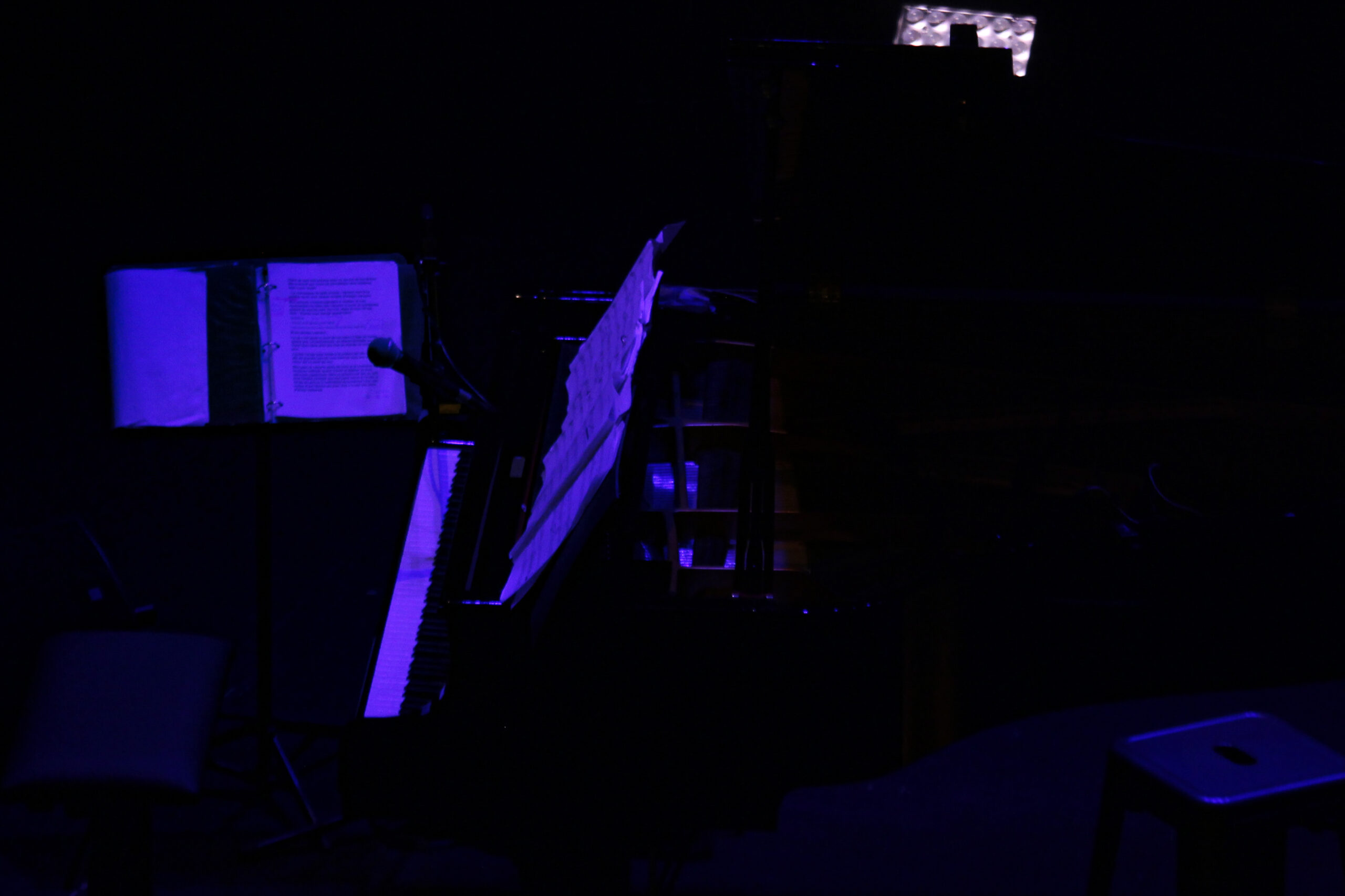 Diane Dufresne, Théâtre de l’Atelier (Paris 18), 24 juin 2025 – 1/3