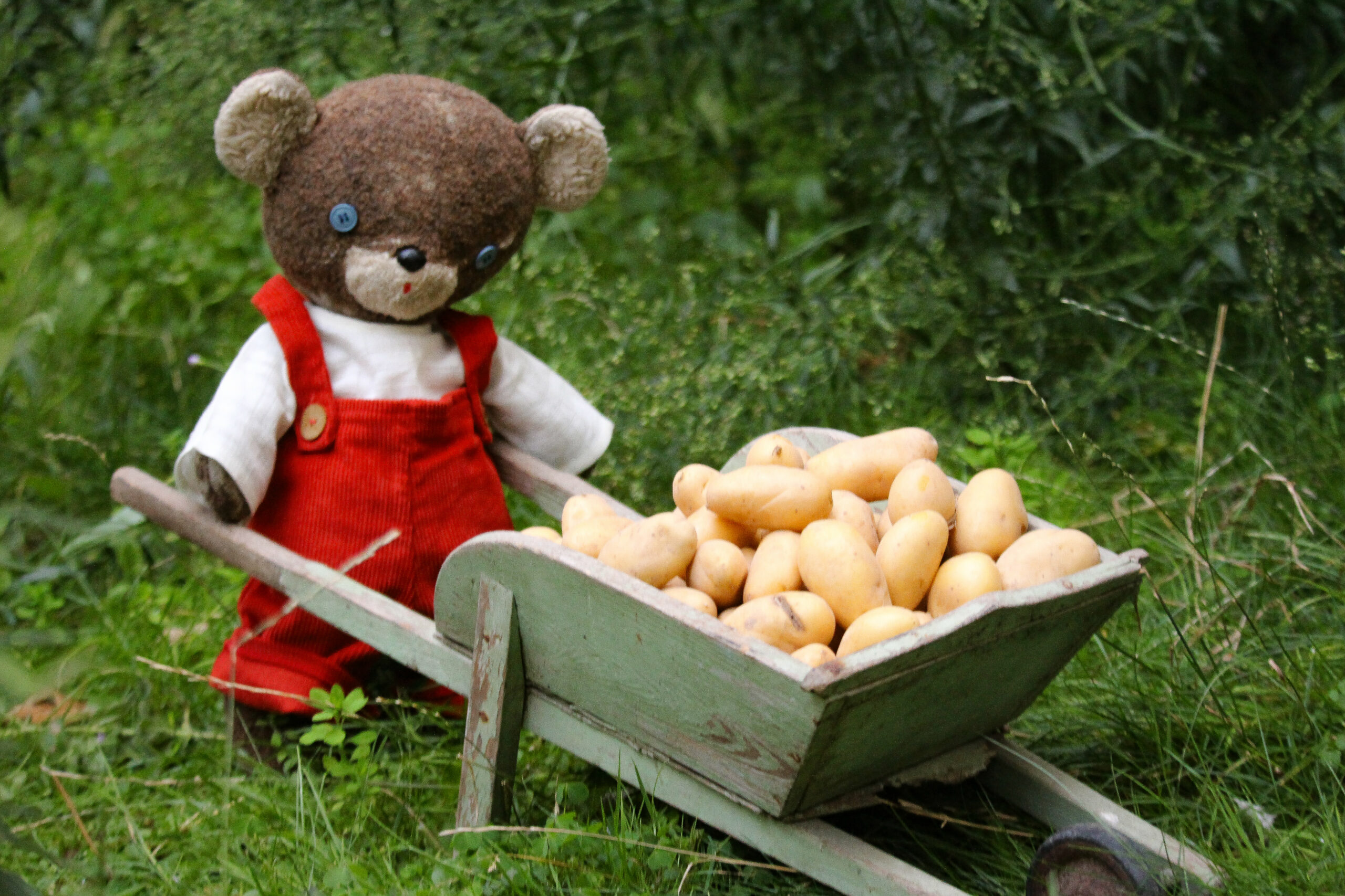 De l’art d’avoir la patate