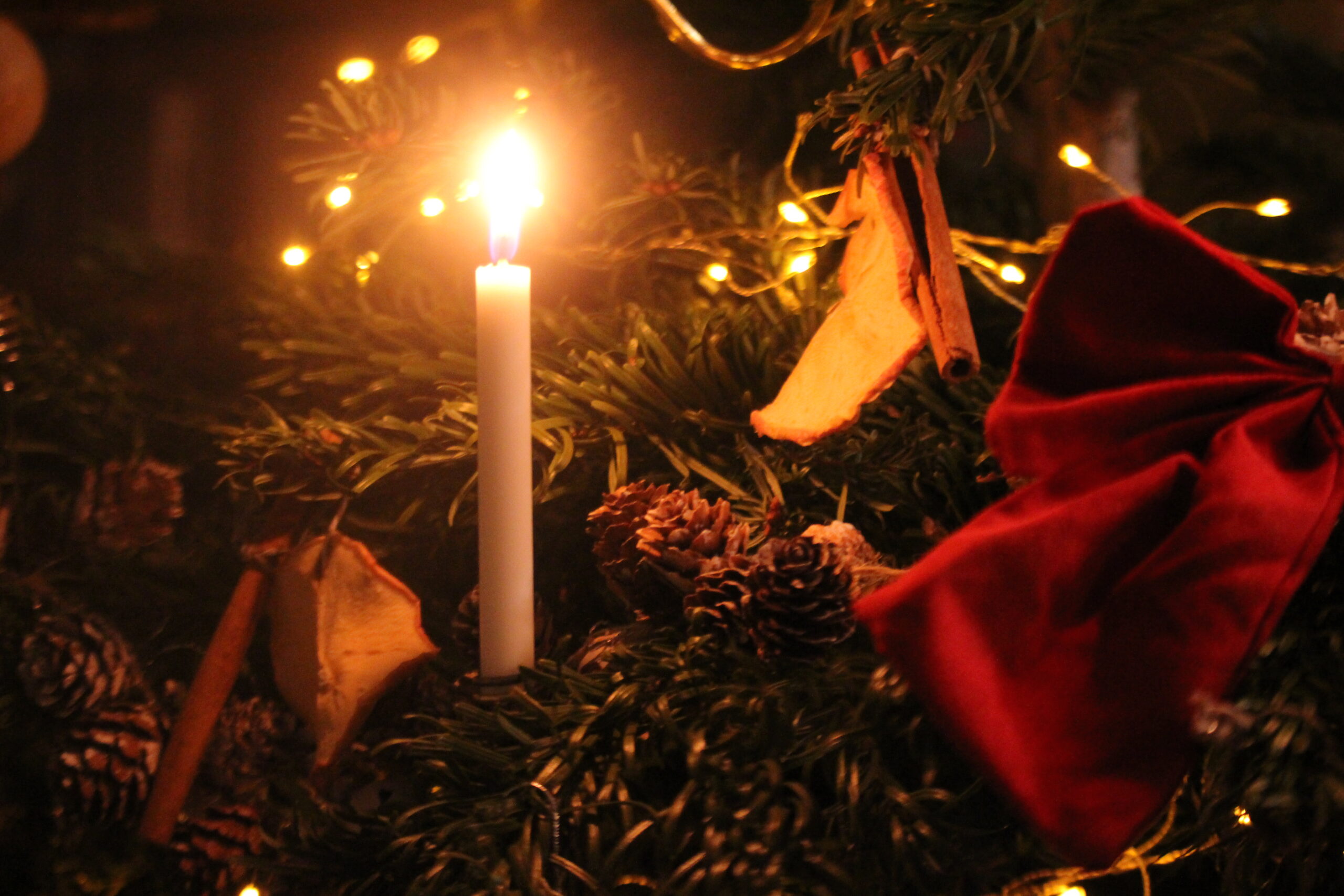 Concert de l’Avent : le programme !