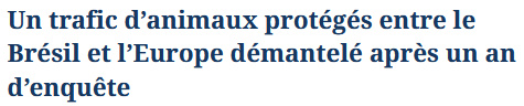 Le trafic que personne ne veut voir